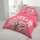 https://www.paikeri.com/Double Size Cotton Bed Sheet 3 pcs 544